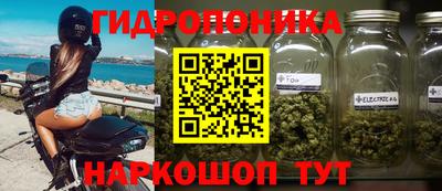 винт Камышлов