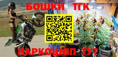 винт Камышлов