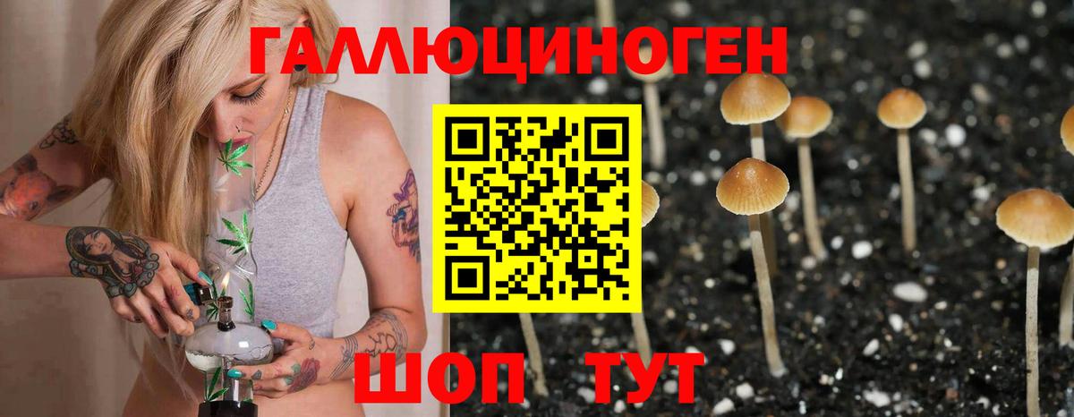 Галлюциногенные грибы MAGIC MUSHROOMS Вологда